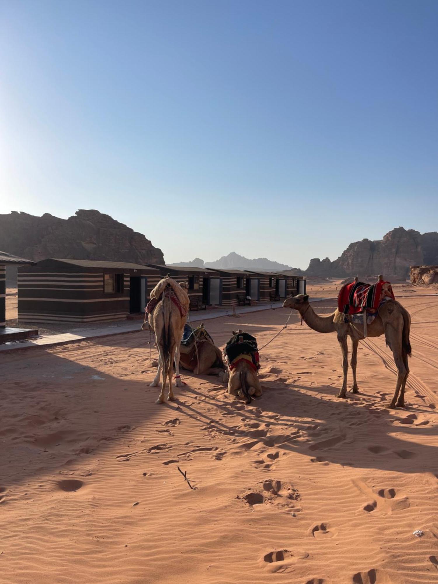 Wadi Rum Magic Camp 외부 사진